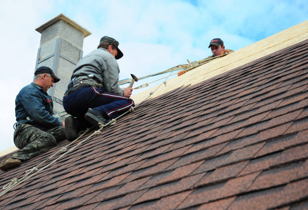 Roof Waterproofing Services in Milton, WA